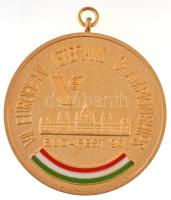 1990. VII. European Veterans Championships Budapest / Közreműködésért OVASE aranyozott, zománcozott fém érem füllel (60mm) T:1-,2