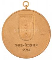 1990. "VII. European Veterans Championships Budapest / Közreműködésért OVASE" aranyozott, ...