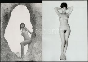 cca 1975 Életérzés, szolidan erotikus felvételek, 3 db vintage fotó + 4 db vintage negatív, a pozití...