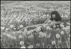 cca 1975 Életérzés, szolidan erotikus felvételek, 3 db vintage fotó + 4 db vintage negatív, a pozití...