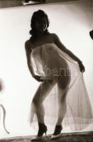 cca 1976 Műteremből ki a szabadba, szolidan erotikus felvételek, 34 db vintage negatív, 24x36 mm