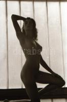 cca 1980 Alkalmi műtermek, alkalmi lehetőségek, szolidan erotikus felvételek, 36 db vintage negatív,...