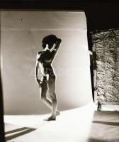 cca 1982 Menesdorfer Lajos (1941-2005) budapesti fotóművész hagyatékából 13 db szolidan erotikus fel...