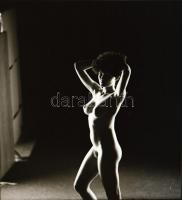 cca 1986 Menesdorfer Lajos (1941-2005) budapesti fotóművész hagyatékából 13 db szolidan erotikus fel...