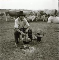 cca 1960 Kecskemét és városkörnyéki felvételek, 21 db szabadon felhasználható vintage negatív, 6x6 c...