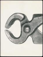 cca 1967 Képi párhuzamok: szarvasbogár és harapófogó, Botta Dénes budapesti fotóművész pecsétjével j...