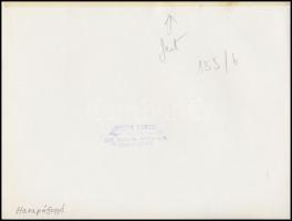 cca 1967 Képi párhuzamok: szarvasbogár és harapófogó, Botta Dénes budapesti fotóművész pecsétjével j...