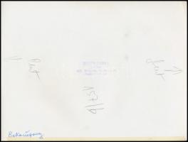 cca 1968 Képi párhuzamok: libaláb és békauszony, Botta Dénes budapesti fotóművész pecsétjével jelzet...