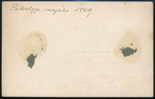 1929 Budapest, Pálvölgyi majális, a Pálvölgyi vendéglő kertjében, feliratozott, vintage fotó, várost...