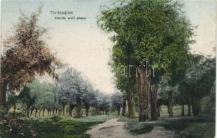 Törökbálint Akácfa erdő