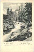 Tátra, Tatry; Nagy-Tarpataki sróf vízesés / Gross Kohlbach Schrauben Wasserfall / waterfall