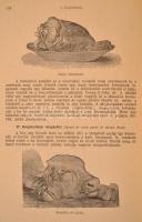 Kugler Géza [Kugler Henrik]: A legujabb és legteljesebb gyakorlati nagy budapesti szakácskönyv és há...