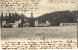 1907 Szlatinafüred, Slatina (Aknaszlatina, Máramaros); Pável sósfürdő, park, nyaralók / salt bath, park, villas