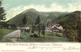 Semmering, Grand Hotel Erzherzog Johann mit Sonnwendstein. Verlag Heidenhaus Paul / hotel, mountain