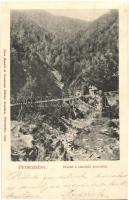 1905 Petrozsény, Pterosani; Szurduki-szoros / Pasul Surduc / gorge