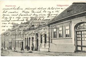 1913 Szilágysomlyó, Simleu Silvaniei; Megyeház utca / County hall street (EB)