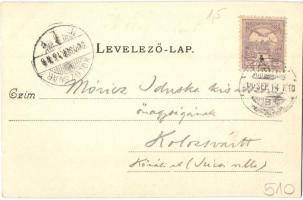 1900 Göd, Duna részlet a gödi szigettel, nyaraló telep és telkek. Kiadó a Sződrákosi és gödi tégla- ...