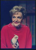 Tolnay Klári (1914-1998) színésznő aláírása őt ábrázoló fotón hátoldalán, 17x12 cm