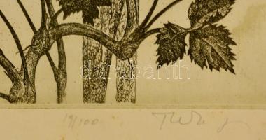 Tuka László (1924-2007): Írisz. Rézkarc, papír, jelzett, foltos, üvegezett keretben 40×24 cm