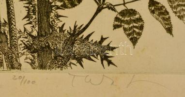 Tuka László (1924-2007): Bogáncs. Rézkarc, papír, jelzett, foltos, üvegezett keretben 40×24 cm