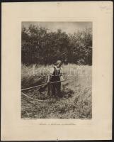 cca 1914-1918 Részletek az Érdekes Újság harctéri felvételeiből, 3 db, feliratozva, 20x26 cm