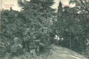 Abbazia, Opatija; Palmen partie im Parck / palm trees in the park. Divald Károly 678-1909.