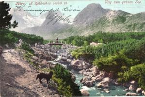 1911 Tátra, Tatry; Zöld-tóhoz vezető út / Weg zum grünen See / Zelené pleso