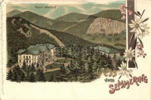 Semmering, Hotel Waldhof. Regel & Krug No. 1910. Floral, litho (tiny tear)