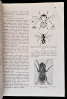 Dr. Makara György-Dr. Mihályi Ferenc: Rovarok és betegségek. Összefoglalás az emberi egészségre káro...