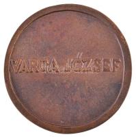 DN "Varga József" vegyészmérnök, gazdaságpolitikus, egyetemi tanár, a Magyar Tudományos Ak...