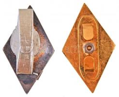 ~1960-1970. "Rendőrtiszti főiskola" zománcozott jelvény + ~1990-2000. Zrínyi Miklós Nemzet...