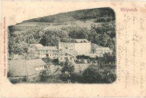 1901 Előpatak, Valcele; Bogdán ház, Főkút. Julius Müller utóda kiadása / villa, main well (vágott / cut)
