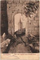1910 Eperjes, Presov; Római katolikus templom tornya távlatból. Divald Károly fia / church tower