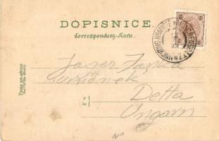 1899 Mnichovo Hradiste, Münchengrätz; Mestská radnice, Klaster n. J., Hrad Valecov / town hall, mona...