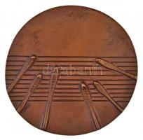 Janzer Frigyes(?) (1939-) 1986. "Első Országos Rácz Aladár Cimbalom Verseny" Br plakett (1...