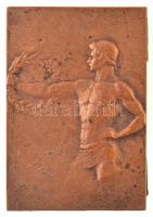 1936. Sport emlékplakett, öntött Br, "Cs.A.K 1936" gravírozással és "Huguenin" g...