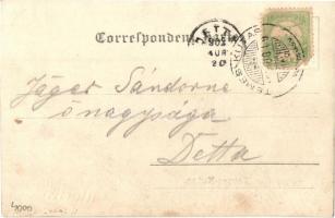 1902 Temeskutas, Gudurica; italozó osztrák-magyar katonák csoportképe / Austro-Hungarian K.u.K. sold...