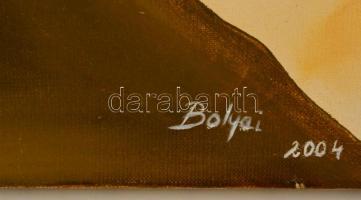 Bólyai Krisztina (?-): Csábító tekintet II. Olaj, vászon,  70×60 cm