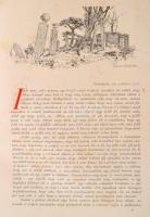 Zágoni Mikes Kelemen: Törökországi levelei. Bp., 1906, Franklin Társulat. Díszes bőrkötésben, jó áll...