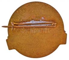 ~1980. "Az Egészségügy Kiváló Dolgozója" zománcozott fém jelvény (30x32mm) T:2