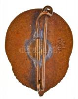 ~1910-1920. "Magyar Vöröskereszt Ifjúsági Osztálya" zománcozott Br jelvény, hátoldalon &qu...