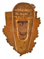 ~1930. "MLTC (Mátyásföldi Lawn Tennis Club)" zománcozott, aranyozott gomblyukjelvény, &quo...