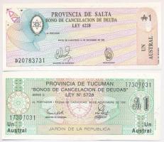 Argentina / Salta 1987. 1A + Tucuman 1991. 1A T:I,I- Argentina / Salta 1987. 1 Austral + Tucuman 1991. 1 Austral C:UNC,AU