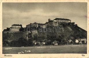 29 db régi történelmi magyar és délvidéki városképes lap / 29 pre-1945 Historical Hungarian and Vojv...