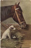 17 db régi állat és vadász motívumlap / 17 pre-1945 animal and hunter motive cards