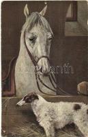 17 db régi állat és vadász motívumlap / 17 pre-1945 animal and hunter motive cards