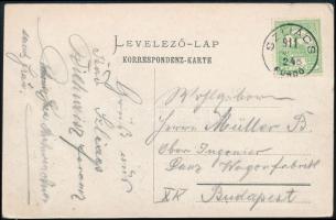 1911 Szliács, Sliac; Liget / park