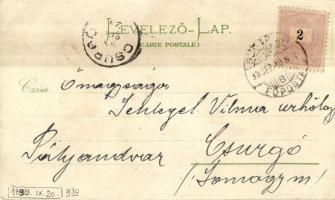 1898 Budapest, igazságügyi palota, Operaház, floral, F. Schmuck litho (EK)