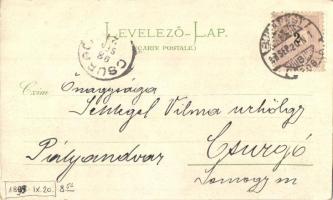 1898 Budapest, Népszínház, MÁV Nyugdíjintézeti palota, Drechsler vendéglő és kávéház. Floral, litho