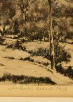 Maknics Albert (1922-): Falusi utca. Rézkarc, papír, jelzett, üvegezett keretben, 13×19 cm